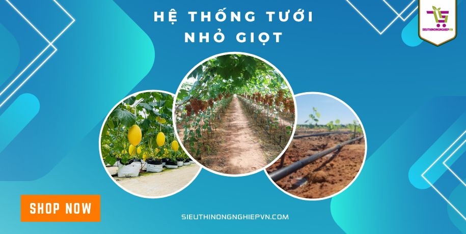 Siêu thị